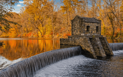 Fall Magic in the Garden State: NJ Family Traditions You’ll Treasure