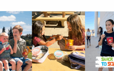 The After-School Snack Rush: Healthy Snack Ideas for Busy Families